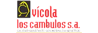 Avicola cambulos